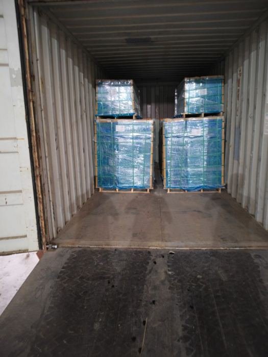 Wrapped pallets secured inside a shipping container